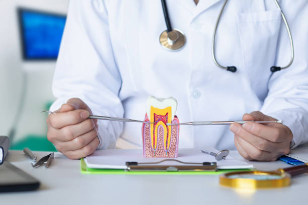 Best Cracked Tooth Emergency Dentist  in Ridgewood, IL
